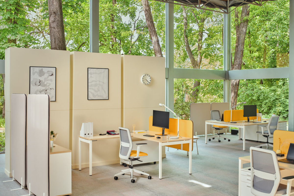 Untitled design - 2024-09-23T153406.141