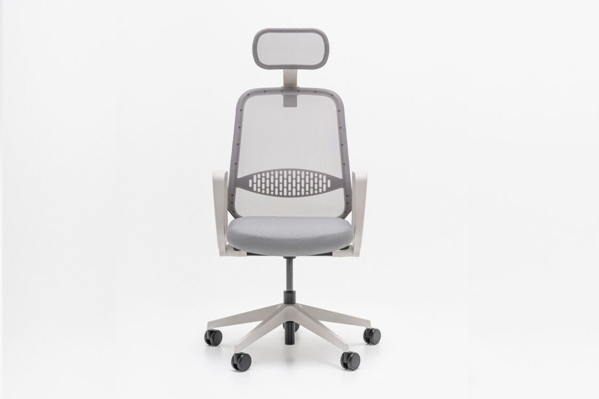 Untitled design - 2024-09-23T155928.192