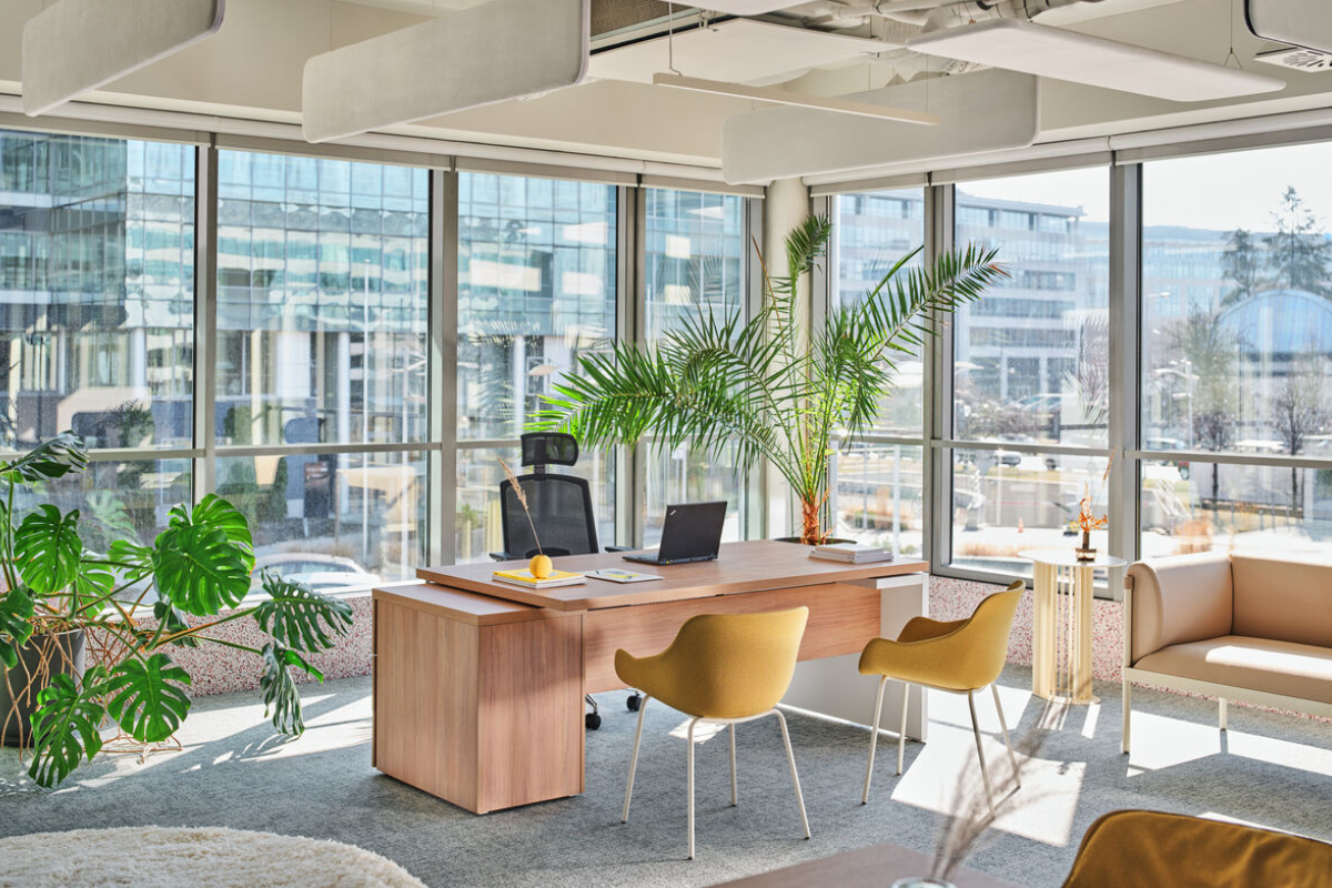 Untitled design - 2024-09-25T153649.916