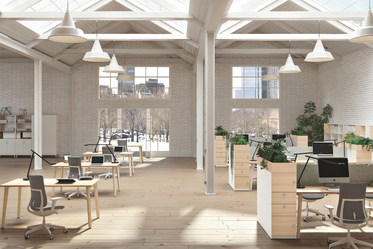 Untitled design - 2024-09-26T120421.386