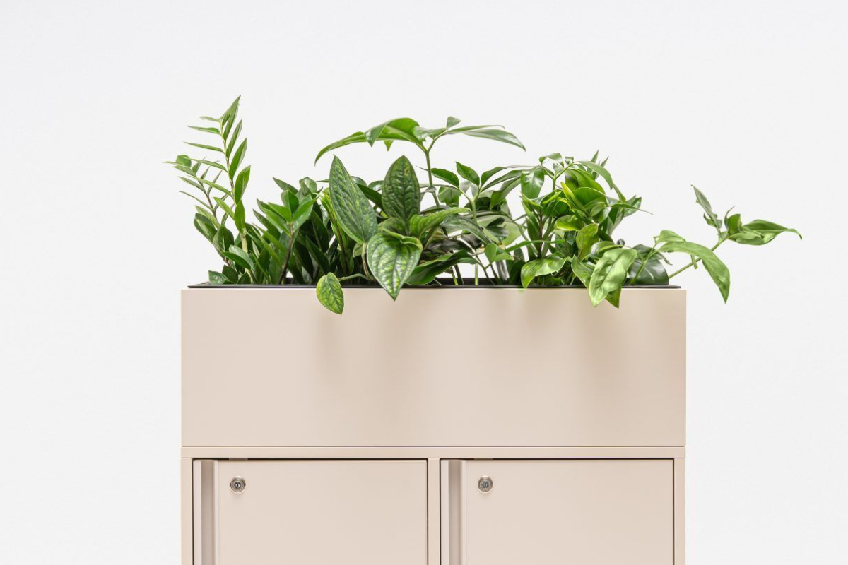 Untitled design - 2024-09-26T121007.766