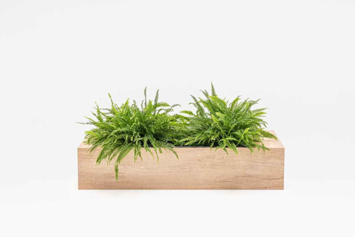 Untitled design - 2024-09-26T121017.025